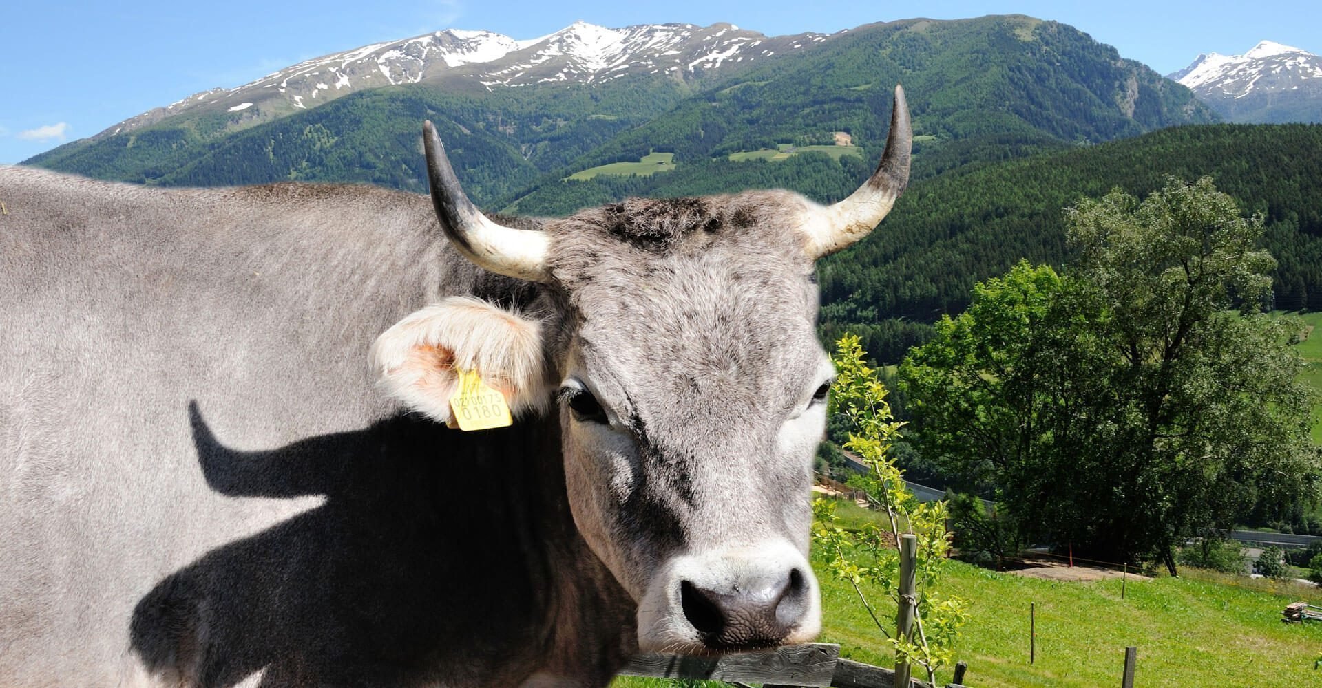 hofladen-hofprodukte-ralserhof-sterzing