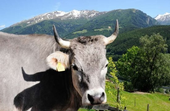 Ralserhof in Vipiteno / South Tyrol