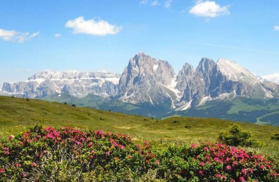 Ralserhof in Vipiteno / South Tyrol